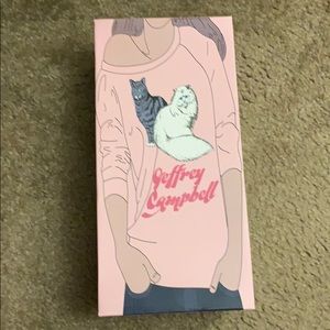 Jeffrey Campbell flip flops